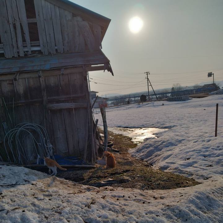 8a9faa7d 42ae 4530 b531 7247a08a647f 1742510571536