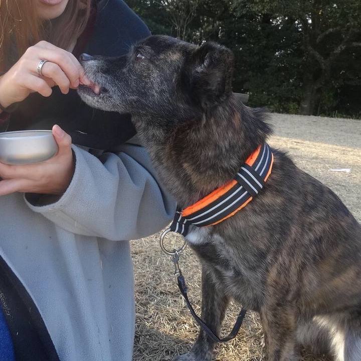 8a9fb347 fe37 426d 95cd 933405eaaeca 1547727868704