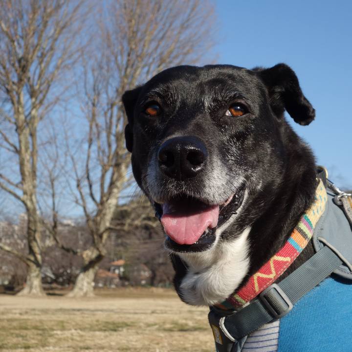 8a9fd5da 67da 46bf bf46 3c4441efce97 1740790255548