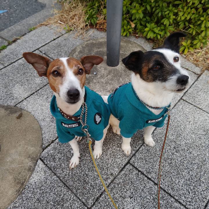 8a9fde43 8c9d 41f6 a45b e23528e1cead 1741643469418