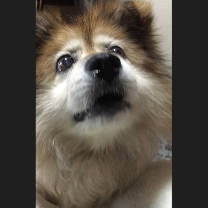 8a9ff977 2327 4e8a 91c4 4b390f081b03 1555893736665