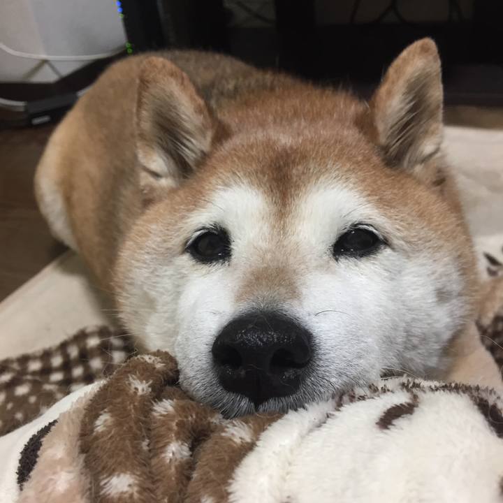 8aa04104 bb17 4dec 8d0f 5df1402b9634 1555289044951