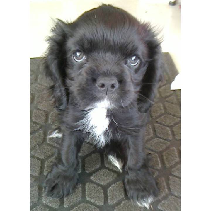 8aa048c6 a340 42e3 a36c 814aaf222d2e 1610952360383