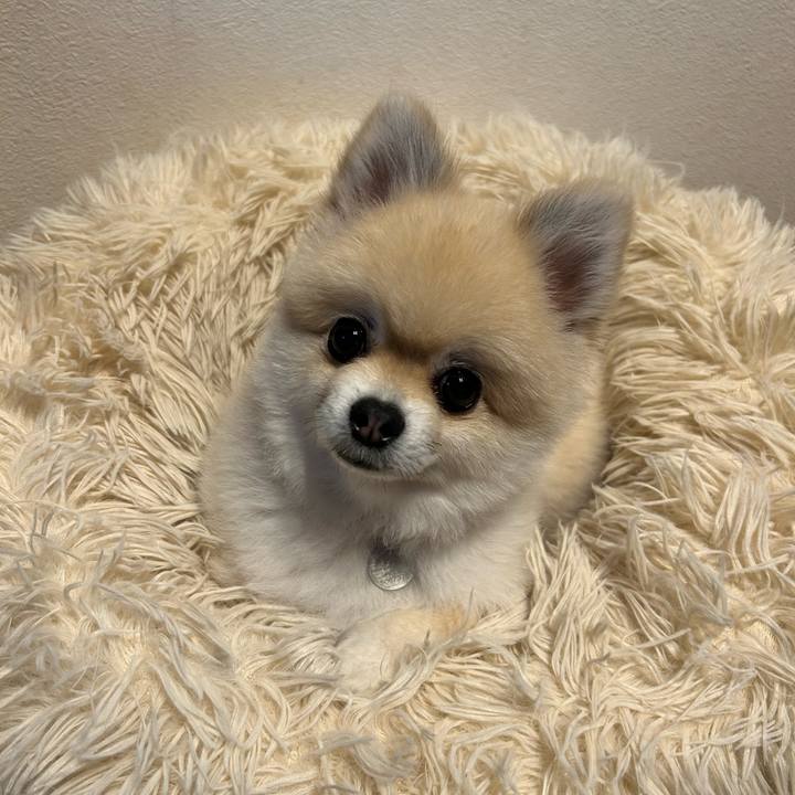 8aa05d8f 0643 4dd5 b112 7e14db62237a 1762173479984