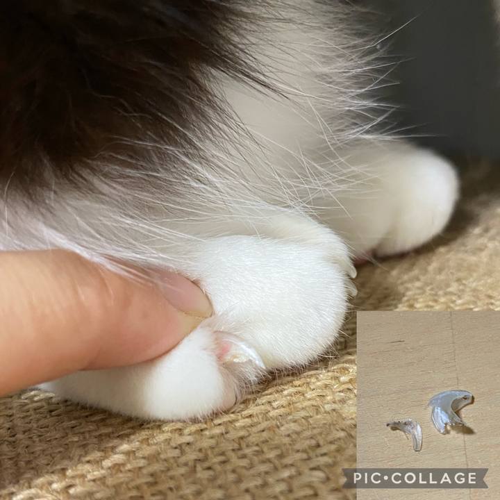 8aa073a0 146e 47f4 b4a3 76d4a6750b53 1664570764273