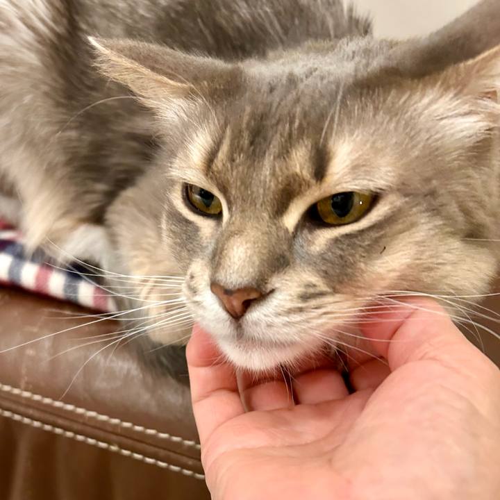 8aa07dc9 e26c 47db 8bd3 911bd433021c 1768053244296