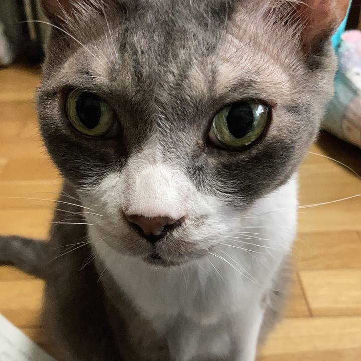 8aa07fde aa66 4778 9ff6 26508982c14b 1661559507323