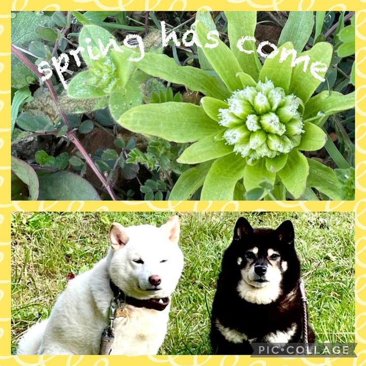 8aa08546 d955 42fb b316 e2c41a6a5ec1 1712190419018