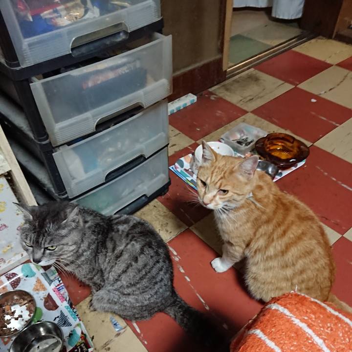 8aa0b1b8 510a 46b9 9b32 e7226fc1e601 1590488626866