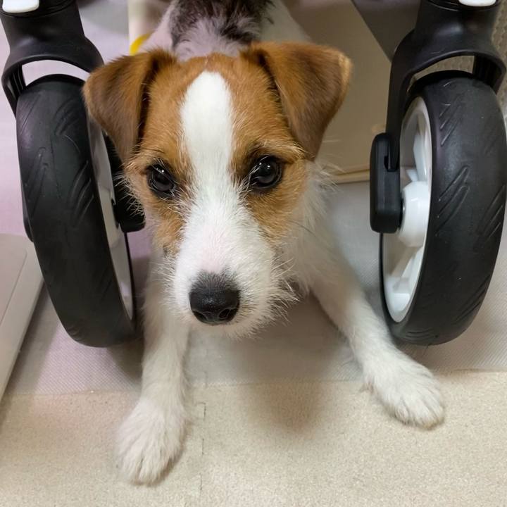 8aa0b4a7 8928 4e19 9fe1 673045940fd6 1628427712546