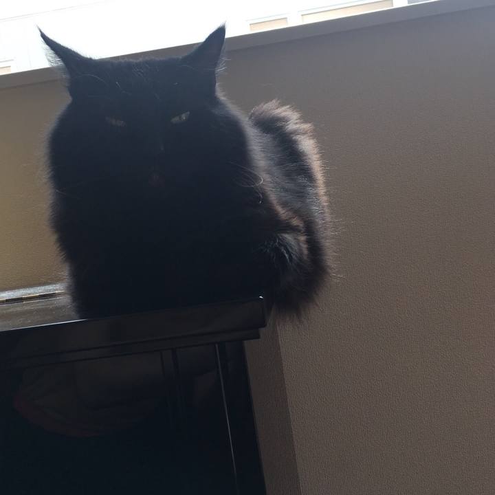 8aa13dc3 35f2 4360 8b27 d9bec7cbc51a 1560084584015