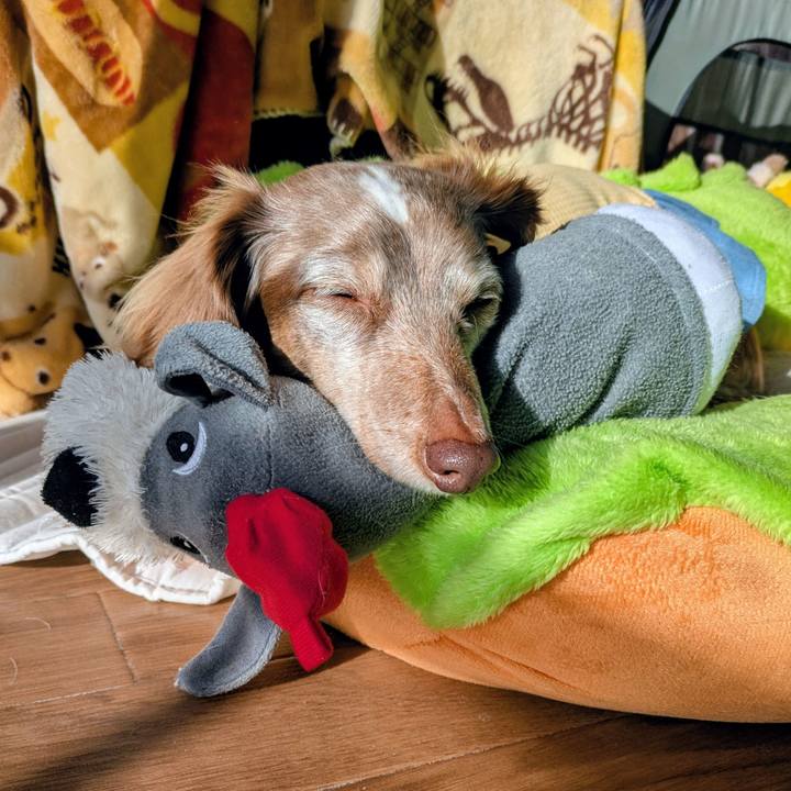 8aa16a46 9f36 4809 8a69 2752e3b21651 1773702992265