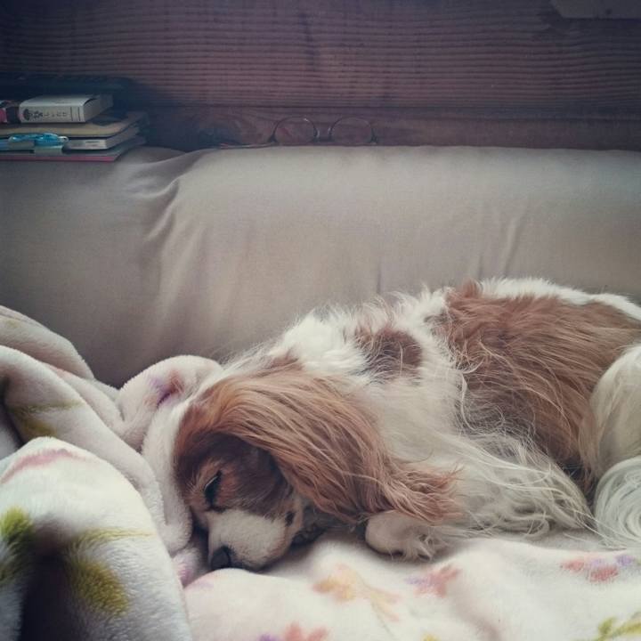 8aa16c70 2e33 4bb3 8bb9 44ba361d3f25 1545440961226