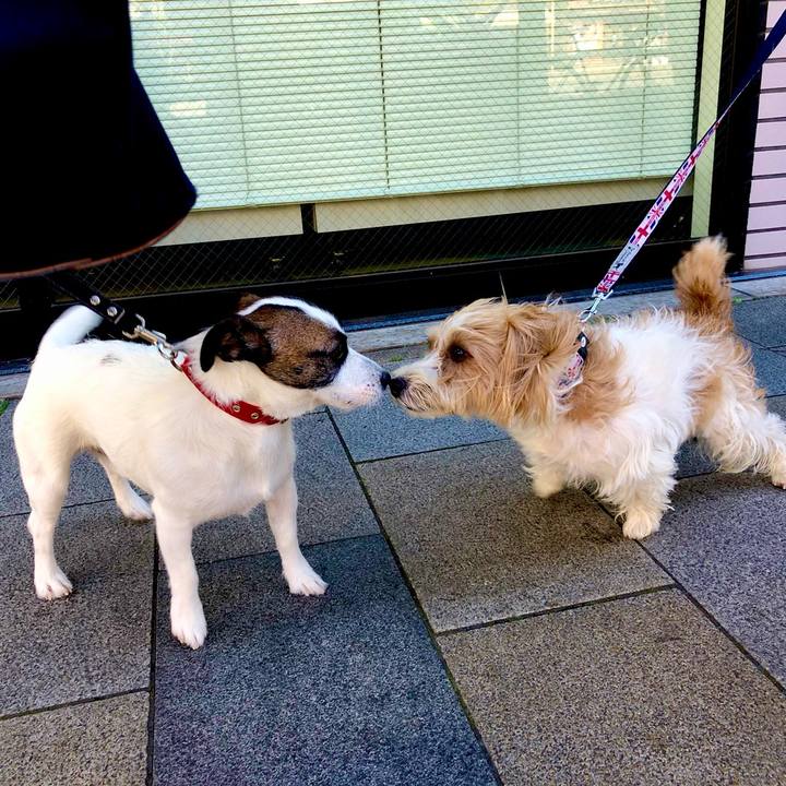 8aa17af3 10bb 4077 819d 318cb90195cf 1733394392312
