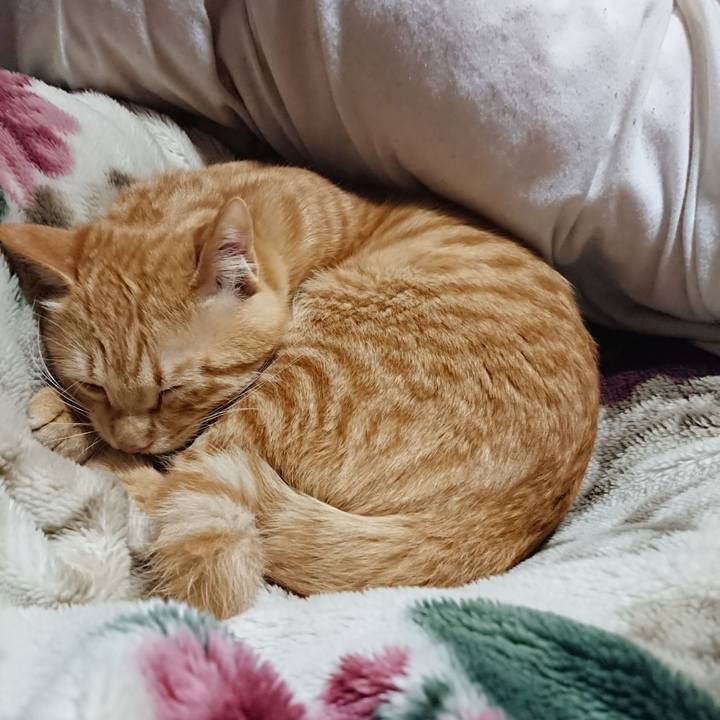 8aa17c22 7ff4 4711 b951 a20d1dd95926 1645015852932