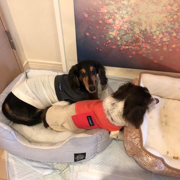 8aa1a7ae a9bb 4109 93a0 fe686498c366 1624400505664