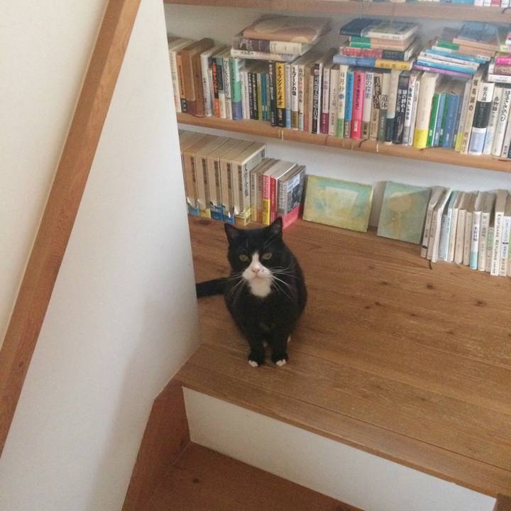 8aa1ba7a 92e2 451d 928a d5a1f35933ae 1528588786801