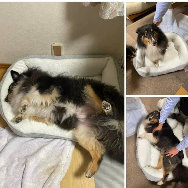 8aa1c60d 082b 4007 b486 f669d666f3c6 1665928508534