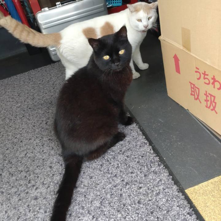 8aa1e41a e23a 4a40 ab72 572c7d225f61 1759449983811