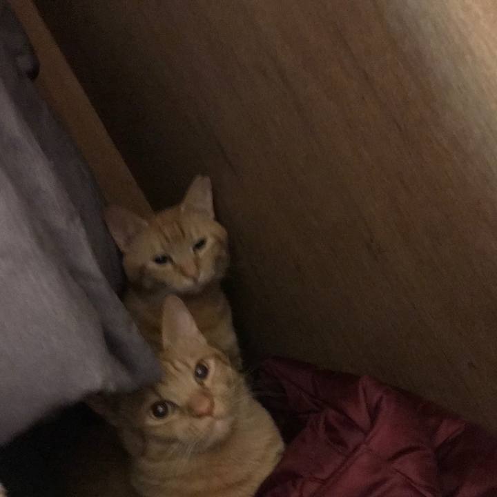 8aa1f943 d813 41c9 8533 7cb1328fa3b3 1590597757627