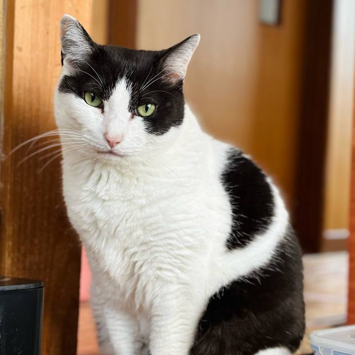 8aa213f9 d45e 4aae b25d 52839df96010 1718765954519