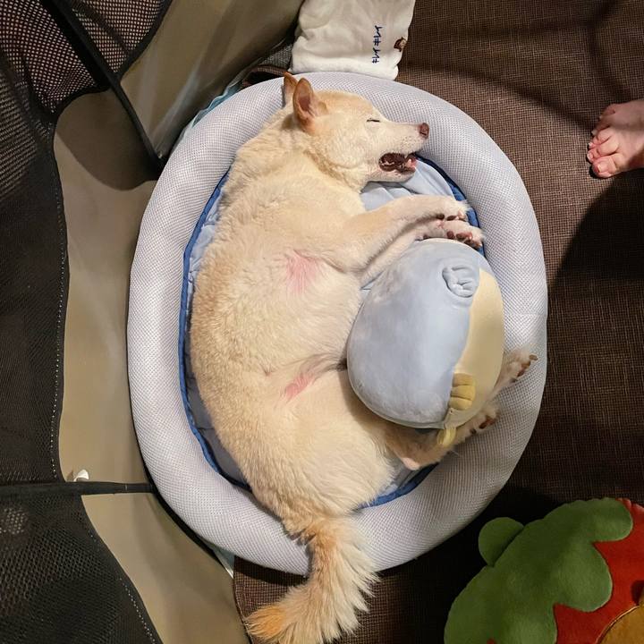 8aa231a0 b407 4d02 a79c 454b7287b095 1664712210150