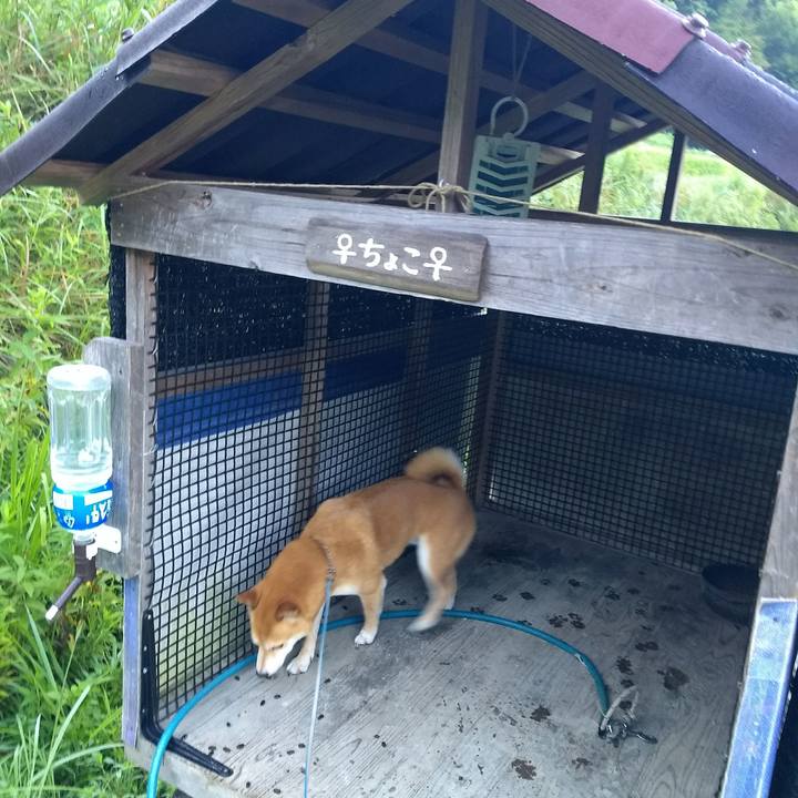 8aa23dcb cc7a 4e5e a23c 3c199f56a787 1535325824933