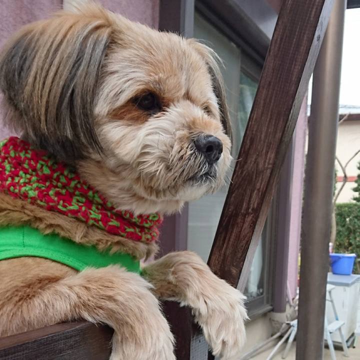 8aa243c6 d6f2 4742 a5c4 a90825fcd8f2 1515638883319