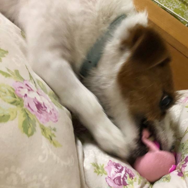 8aa26952 3542 4196 b43b c3e05ef43ea0 1532185502158