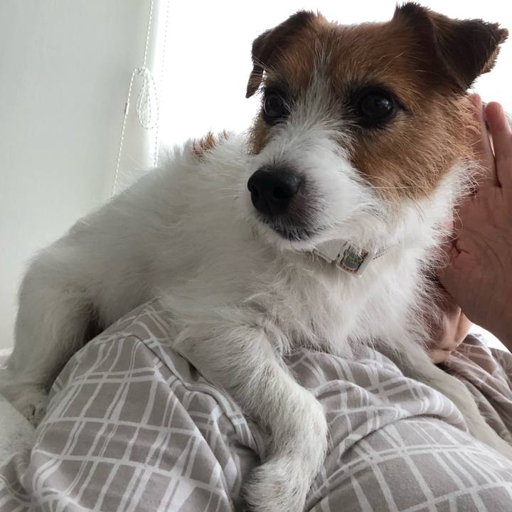 8aa26eda c170 4d27 9049 fb32874a725c 1598143894966