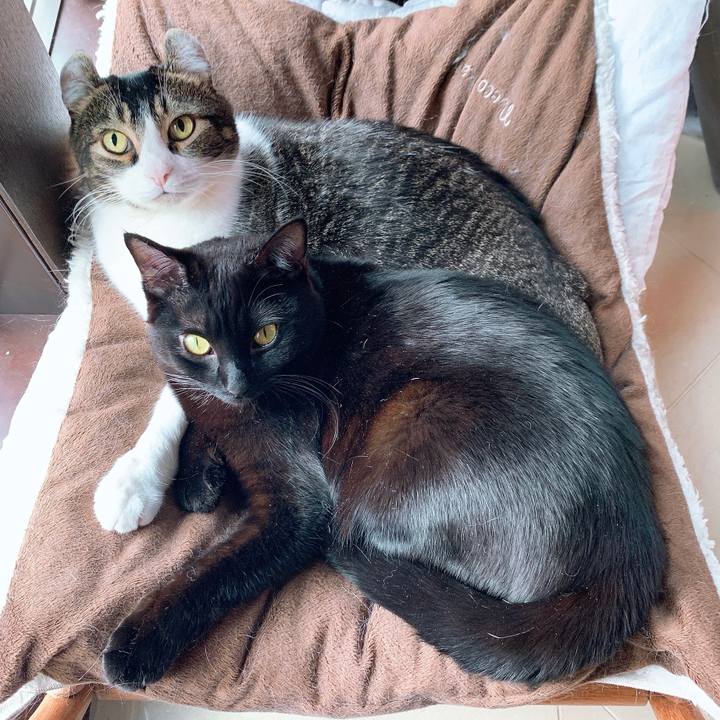 8aa26f1a 49e6 46d9 8046 6a430f3ecad3 1604840604383