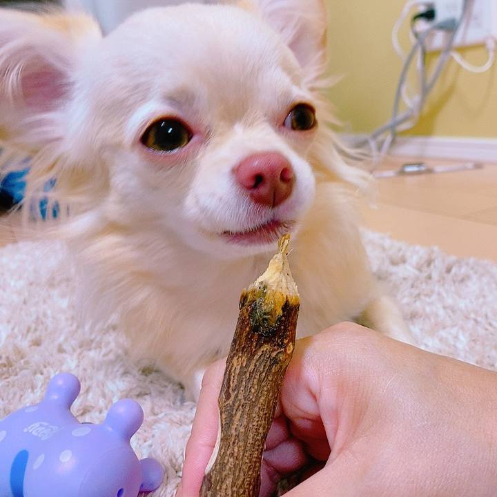 8aa3ee2d 78e2 47cc b0df b318b0e8e755 1627284416954