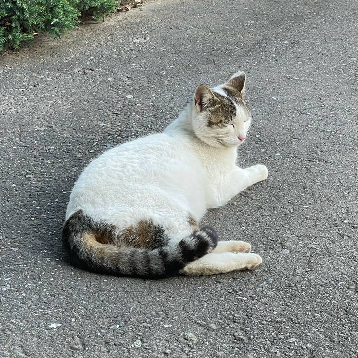 8aa40748 3932 42ea 847a 9103a7a725f8 1683095361354