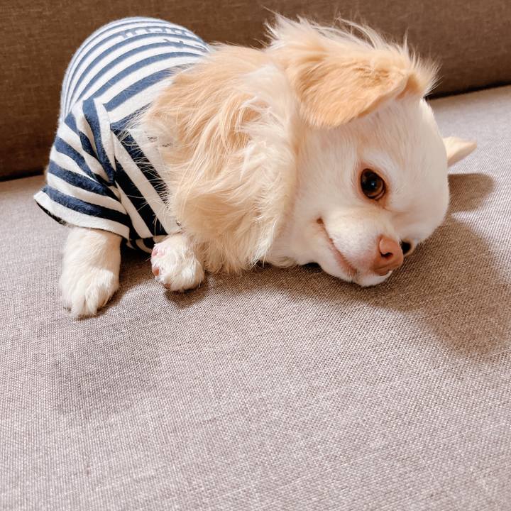 8aa42f93 2dc5 4722 b7d0 bd848d19cb4a 1675917728216