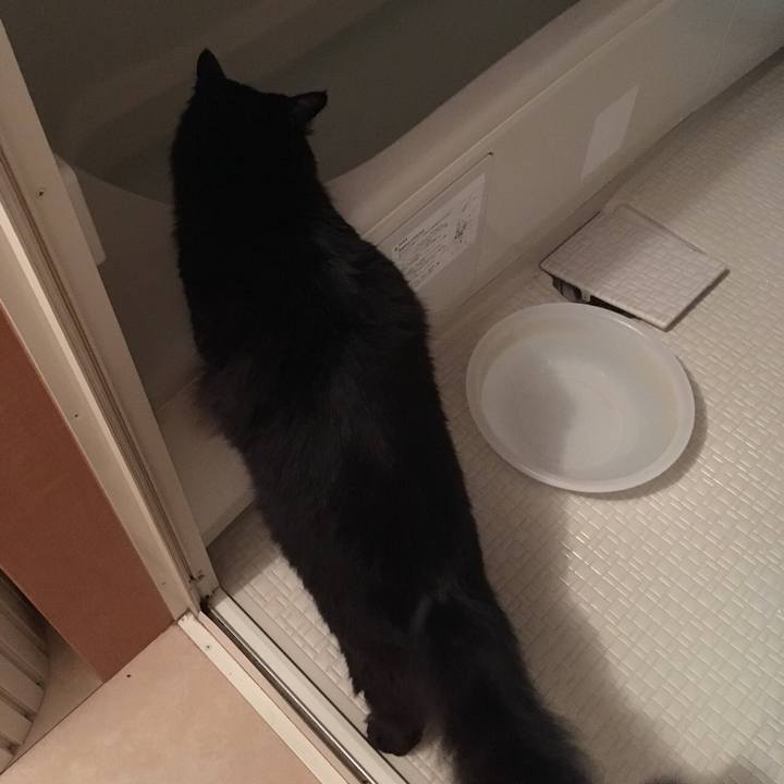 8aa45b57 bdb4 49d7 aa13 c91500a97c0d 1530530950020