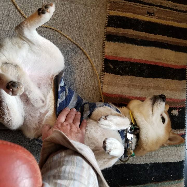 8aa45e4d 32c2 4085 969c a65ebfc1c856 1611705775444