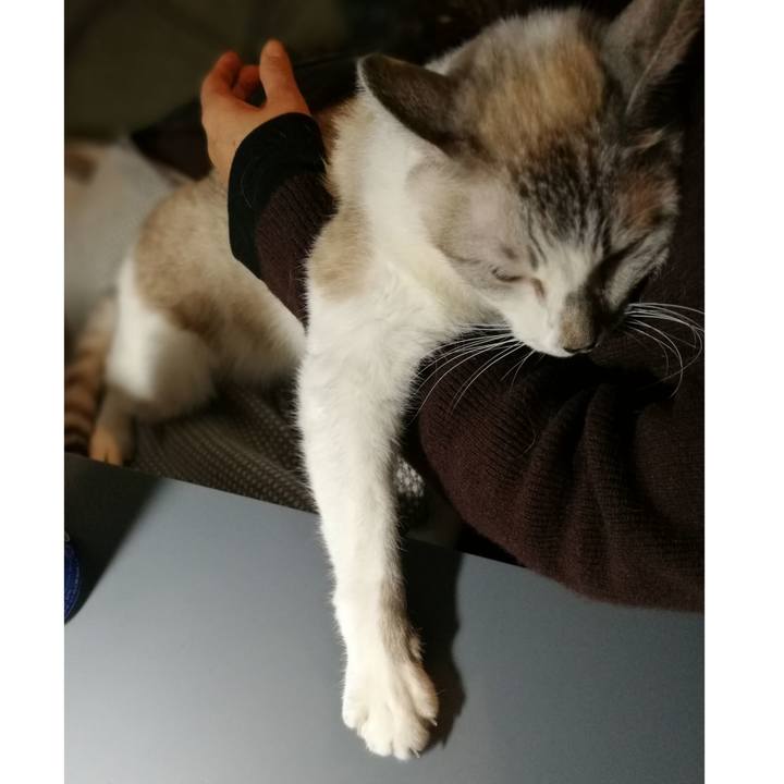 8aa4655c b125 40a5 83b2 b940ec12c5c0 1579255429375