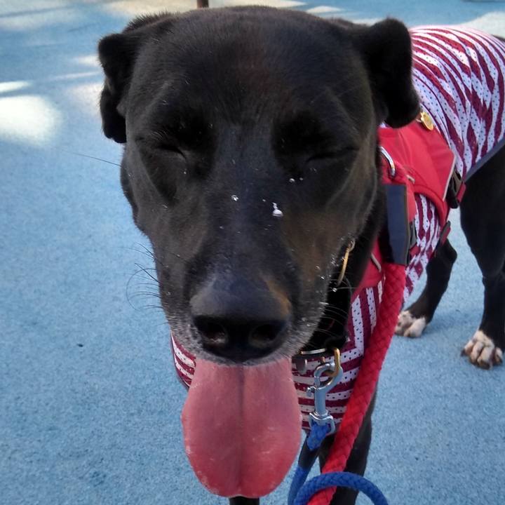 8aa481bc 65c2 44df be68 776e08dd48db 1599608404475