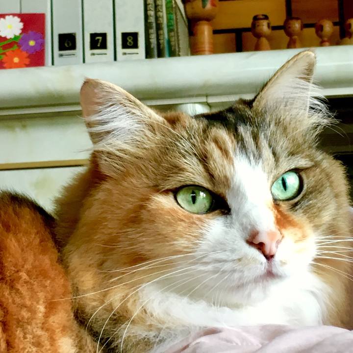 8aa489ee 92b8 45fe 99d4 e904ec7e04e9 1561777204709