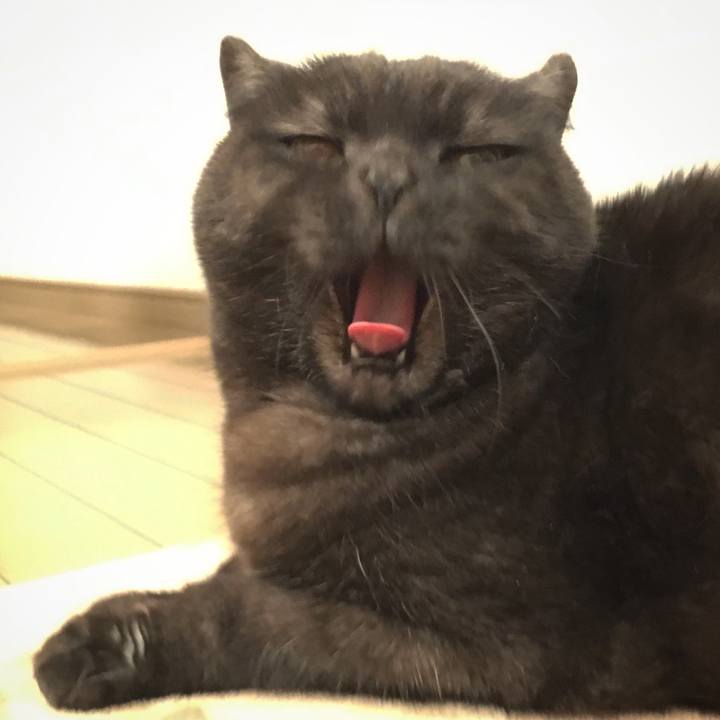 8aa4b4ab a3ba 4a41 8de8 edabf7102374 1582643805283