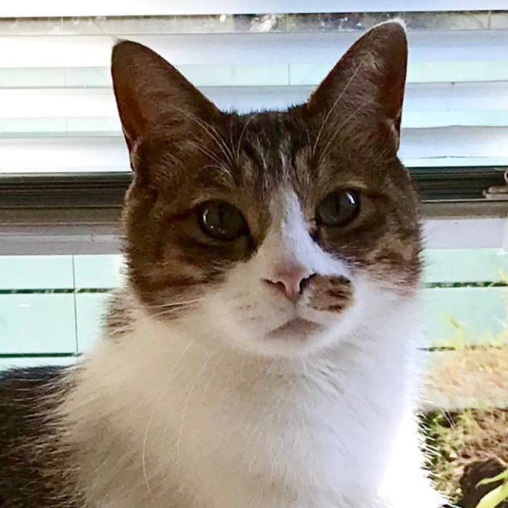 8aa4d598 c5e7 45b7 ad93 b8412bf2bef6 1514377912969