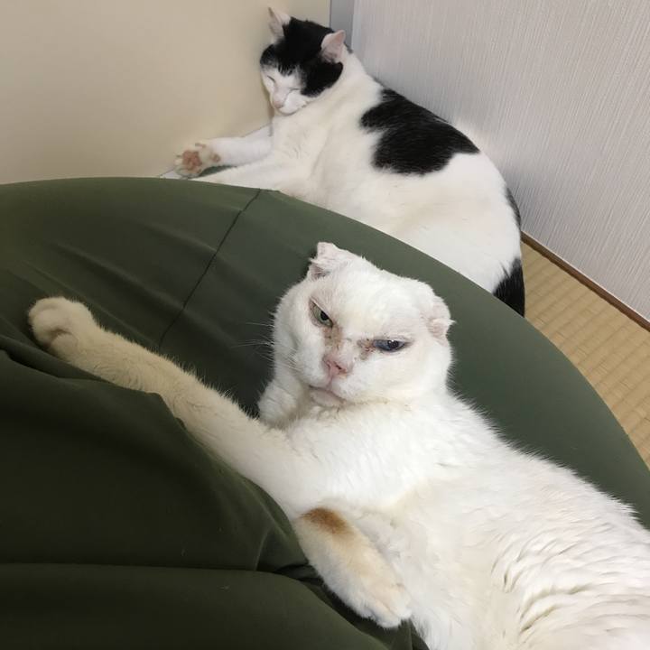 8aa4da5d ec80 410a 8dfc 8e0392ec123e 1528885825316