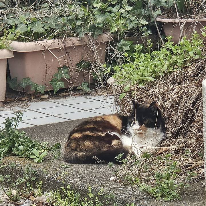 8aa4f4af ecb4 44d4 b832 780b1f43e301 1742970622882