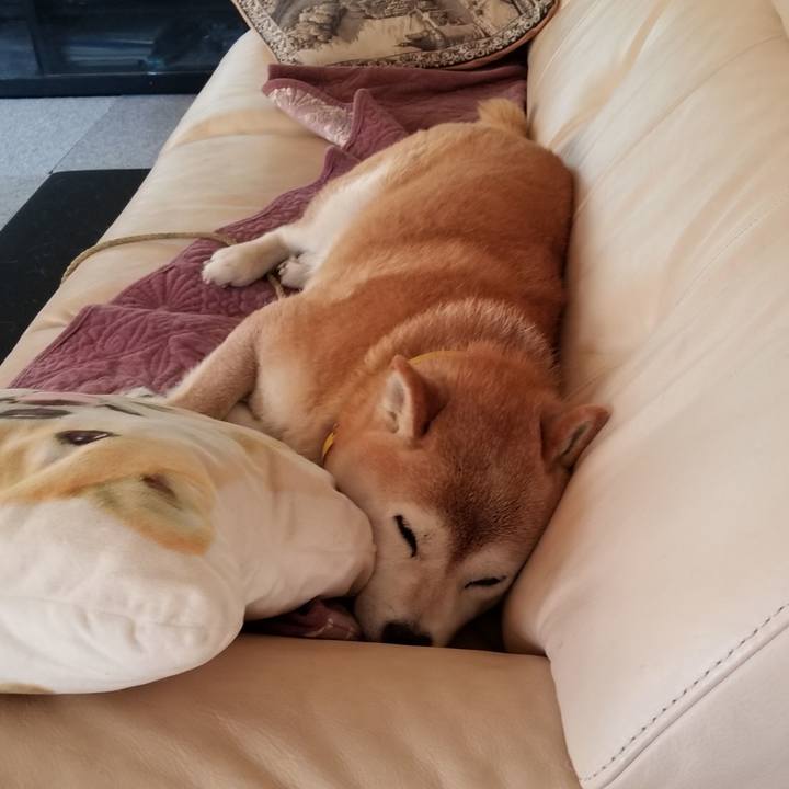 8aa50674 7dc0 4a63 bfdc 01c1d46b1f78 1691281770488