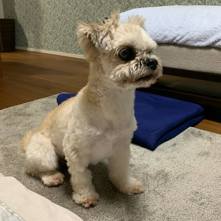 8aa567e6 04b2 4a86 90ae 92e5c92878d9 1664447137097