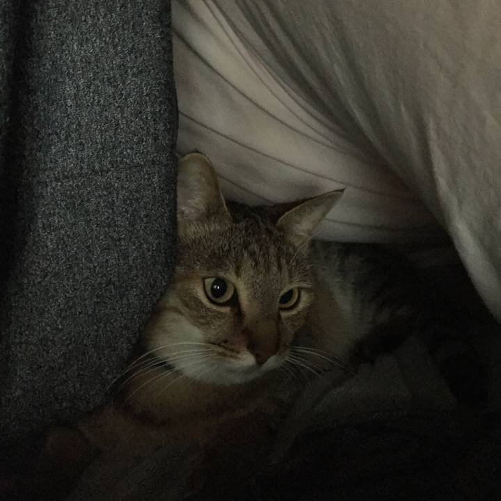 8aa5926f da62 4dc4 bdc6 63e52b9c2df9 1512338212077