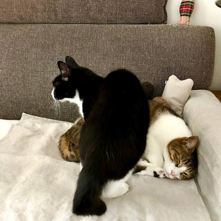 8aa5f1e1 e5e8 4e64 abf0 1dd192f2fc30 1528954204555