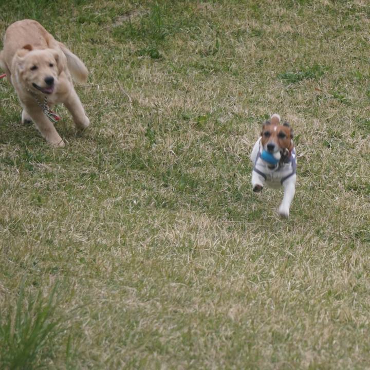 8aa609b6 3b66 4c1a b41d 1a6d7e488341 1587083789509