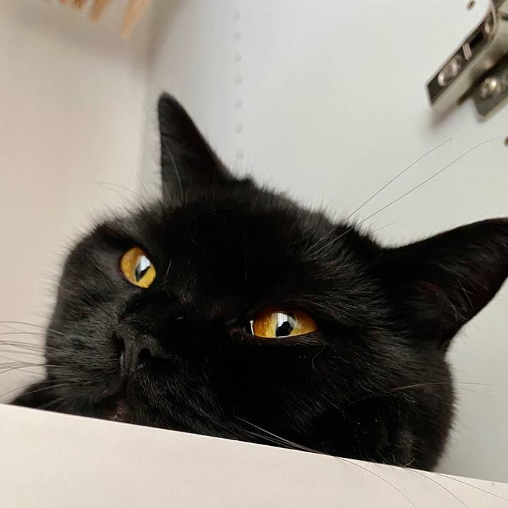 8aa60ef3 864c 4257 9e26 fdcf1c169593 1600232734624