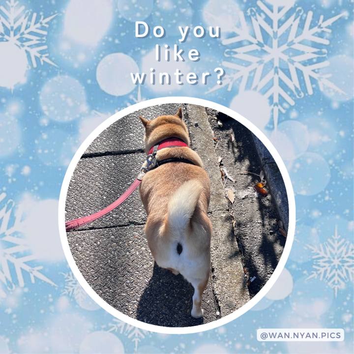 8aa61571 d449 400f 9f65 45491430ca79 1701763556410